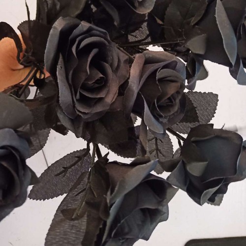 Pack rose noire - 10,