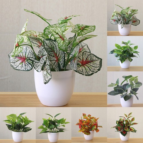 Plante artificielle pot - artificielle, en